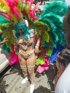 Rihanna Barbados Festival Pussy Slip Leaked