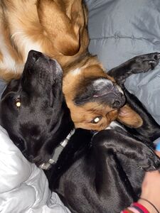 yungestnugget new hot onlyfans leaked nudes