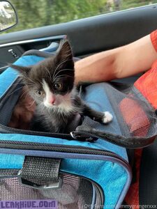 Kimmy Grange (New Set) Exclusive Onlyfans Leaked Nudes